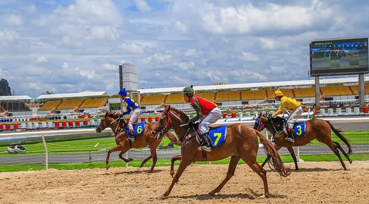 Đua Ngựa SV368: Bí Ẩn Đằng Sau Từng Ván Cược Hấp Dẫn