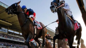 Đua Ngựa SV368: Bí Ẩn Đằng Sau Từng Ván Cược Hấp Dẫn